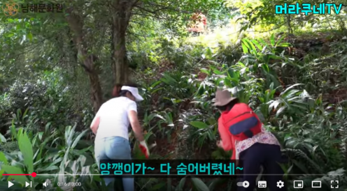 첨부이미지