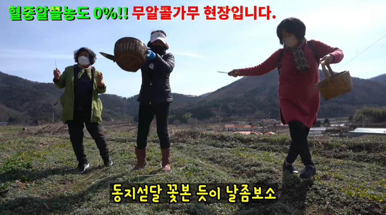 첨부파일